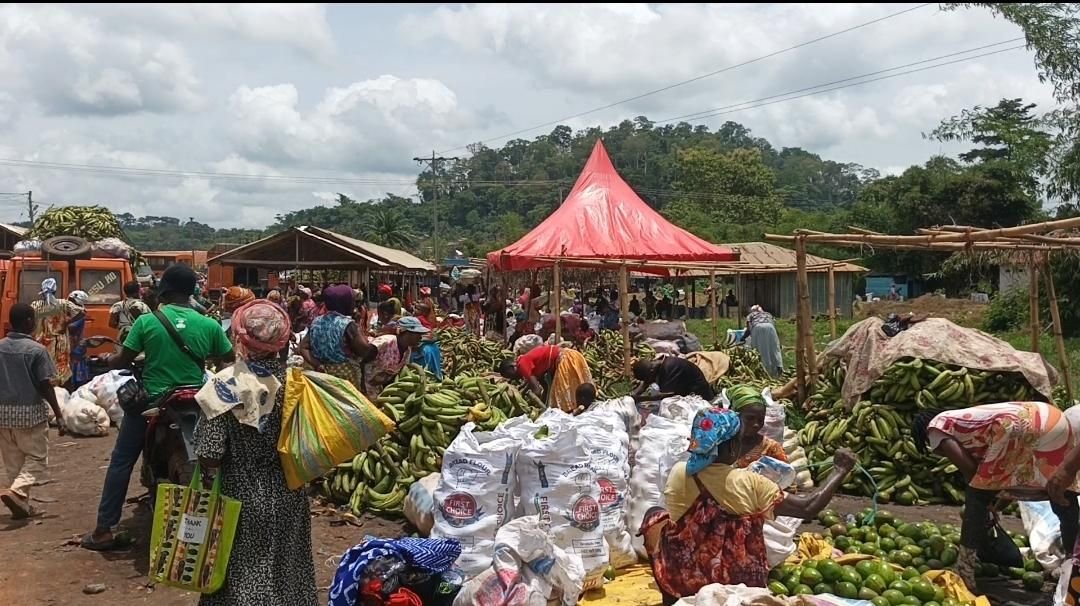When food goes to waste, everyone loses.